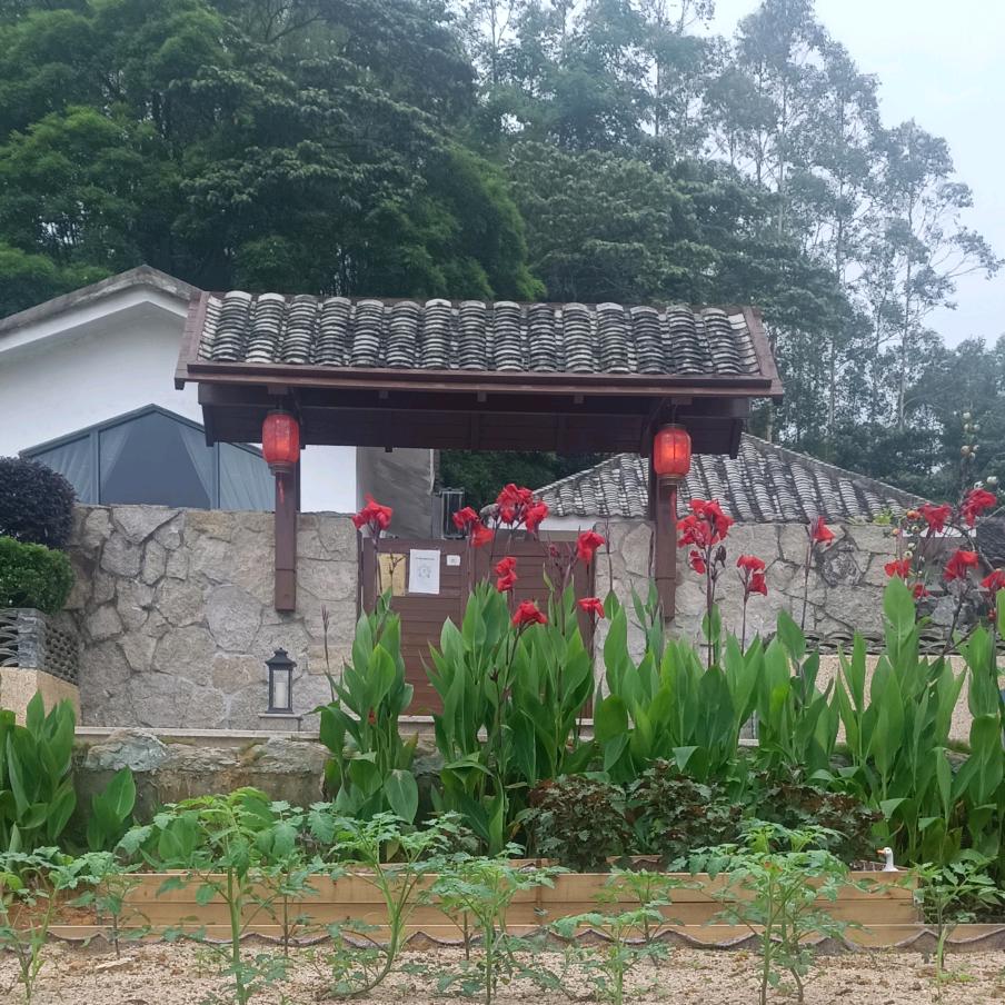 惠州博罗花开乡院民宿