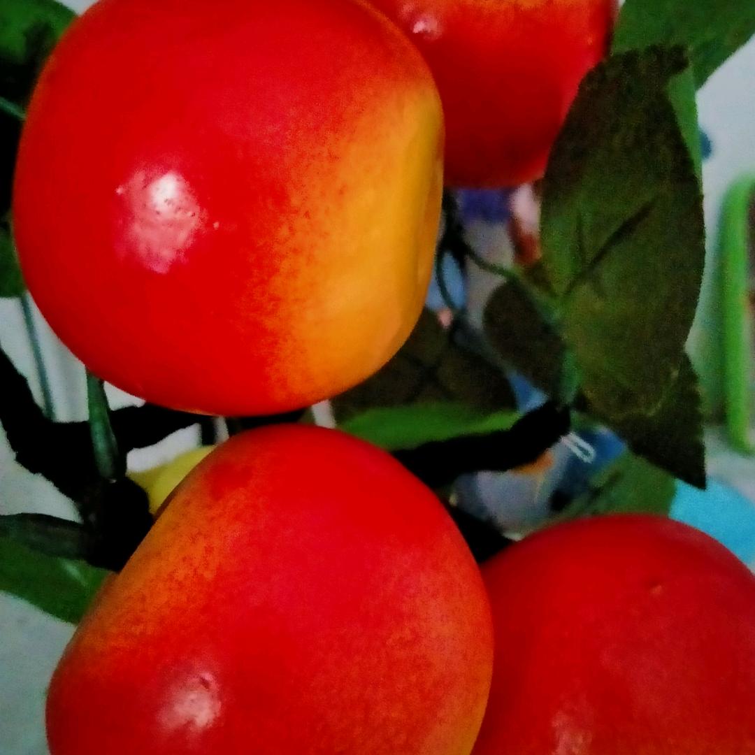 🌹ღ᭄岁月静好