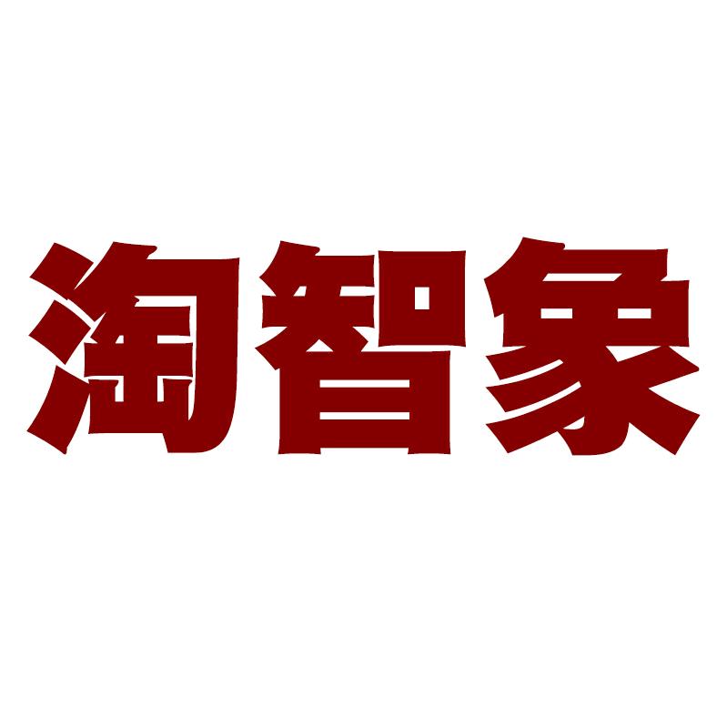 淘智象