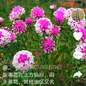人生砍坷随环境而改变