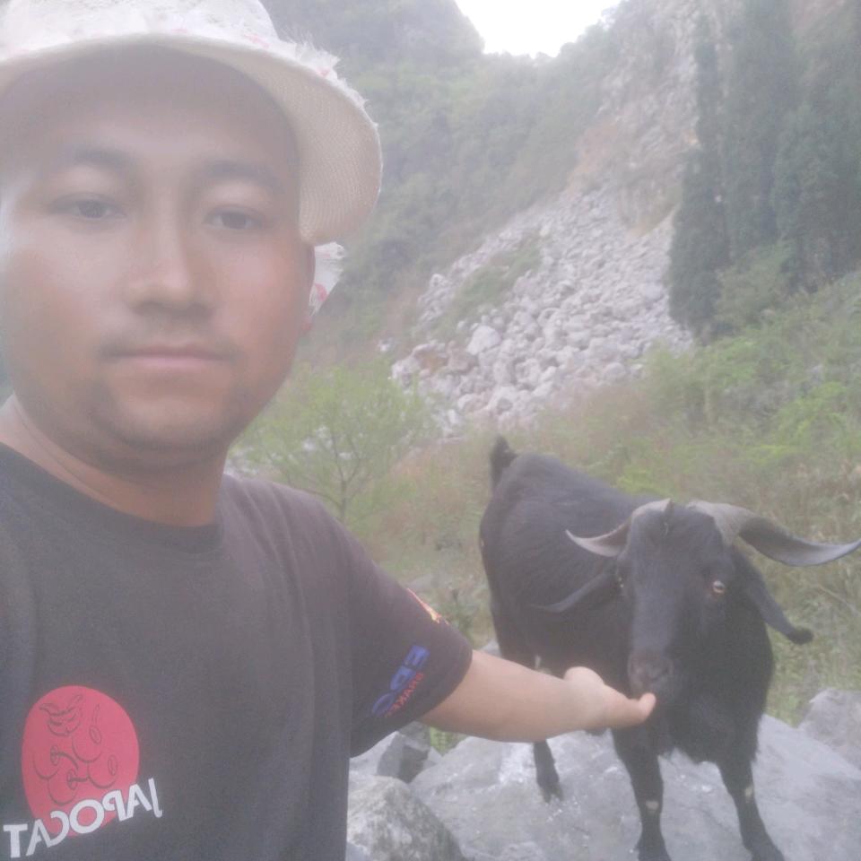 小王黑山羊养殖场