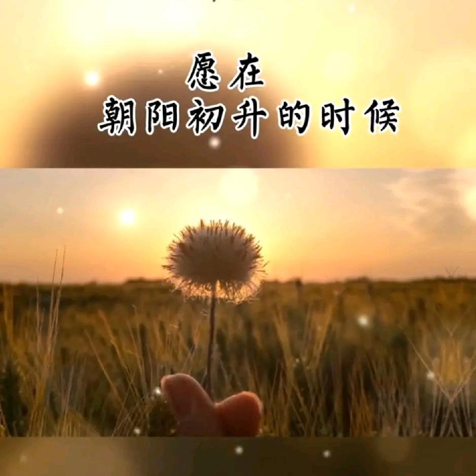 浩——瑞—