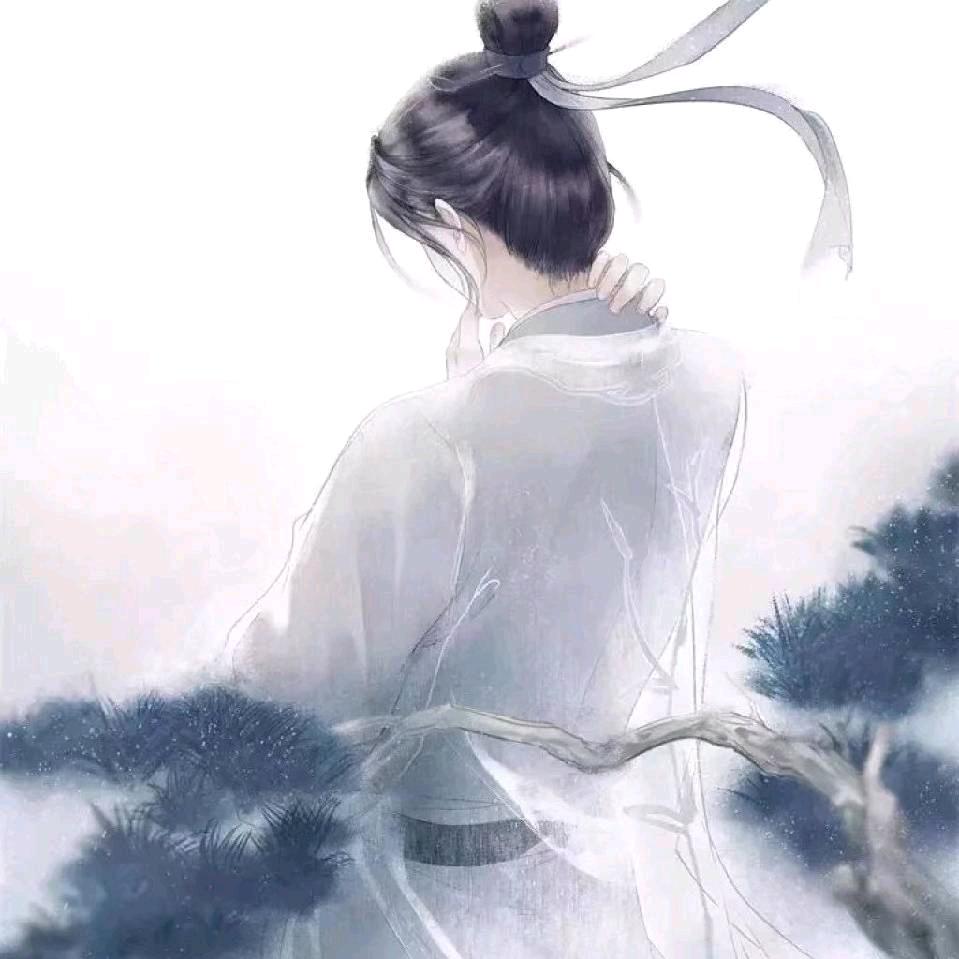 沐辰🔥