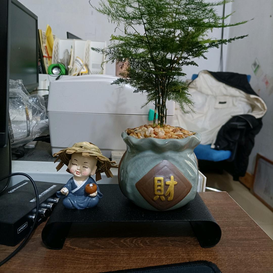 星陈大海～