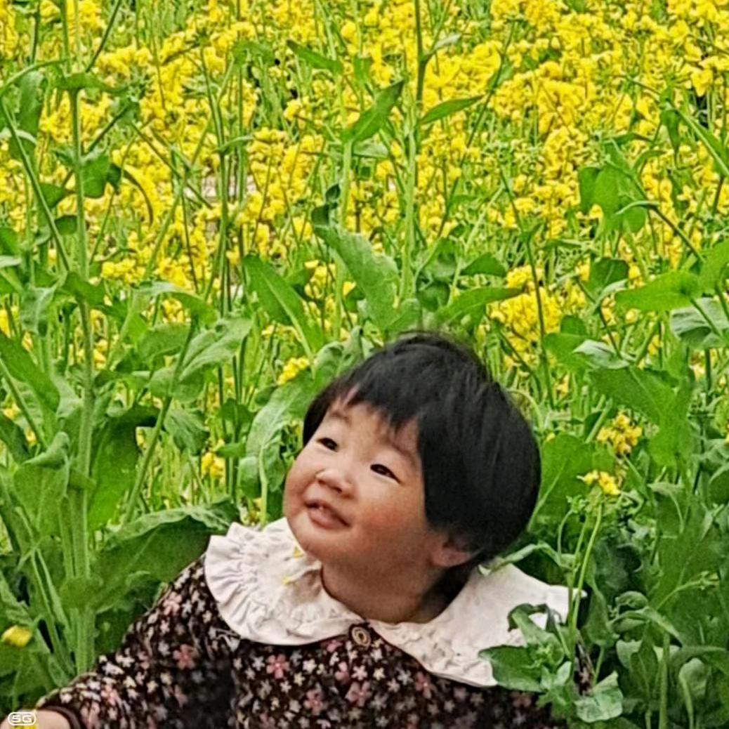 洪霞