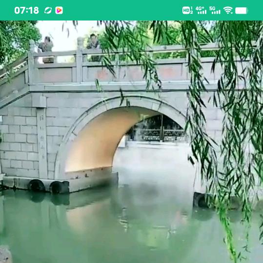 柳映桥头