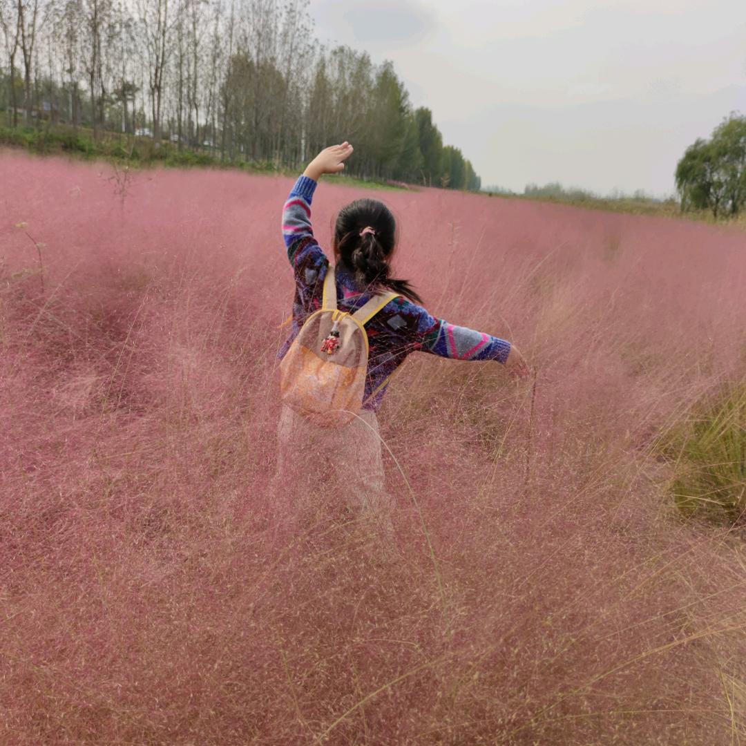 古月