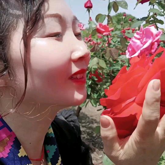 花开一夏