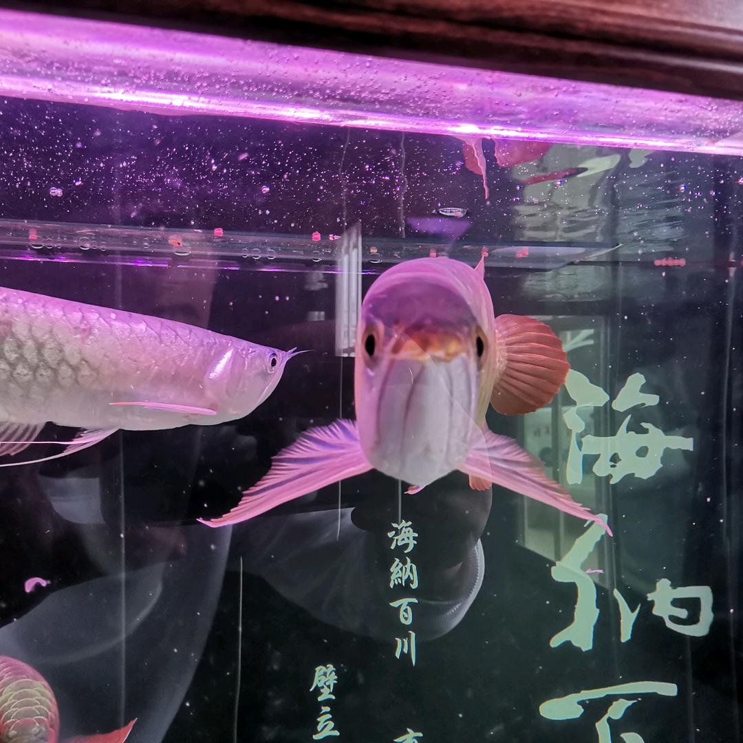 梁山旺鑫二手设备有限公司