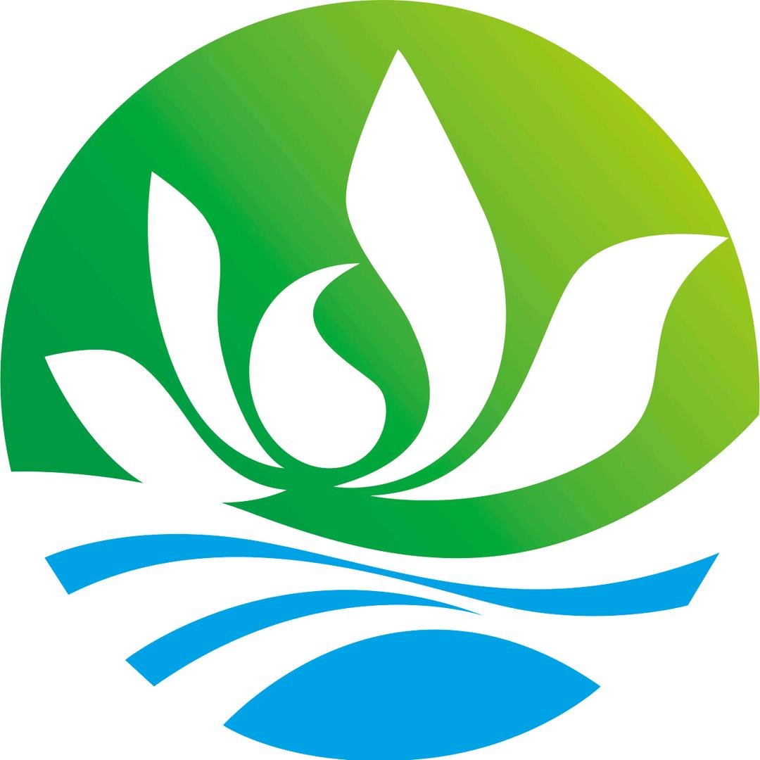 滨荷湾官方号