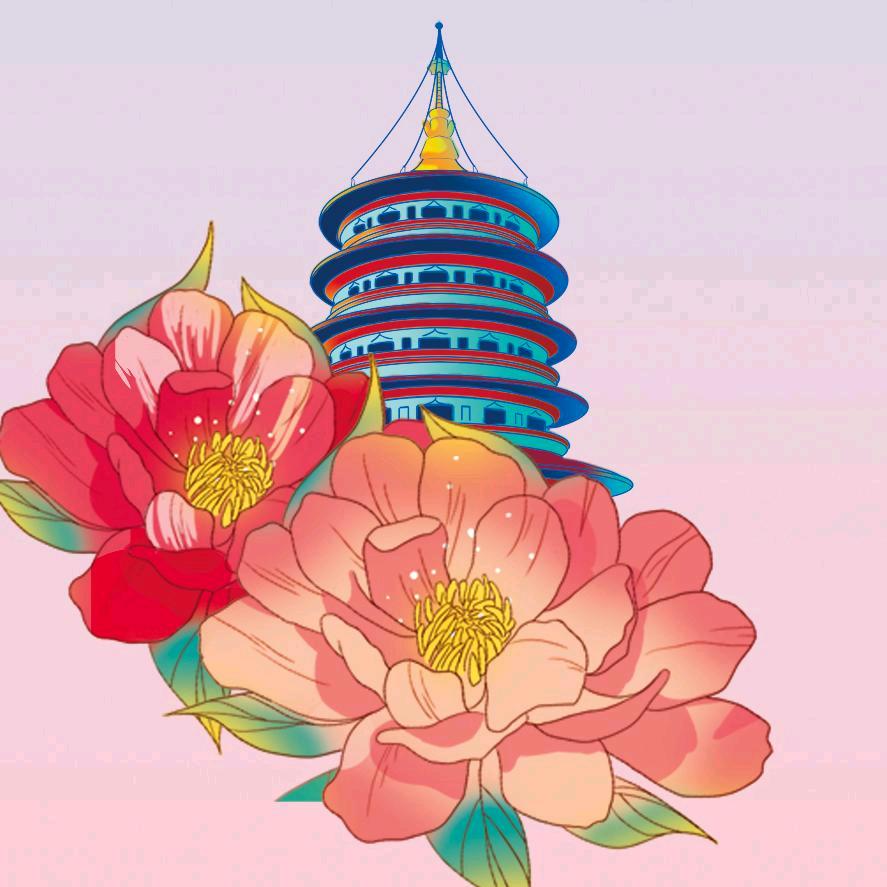 洛阳网信