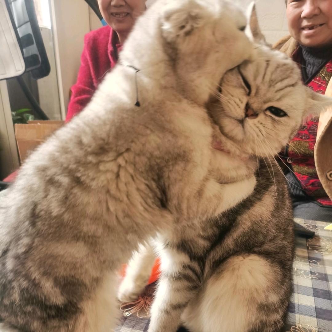 过去曾经～～嗯呐