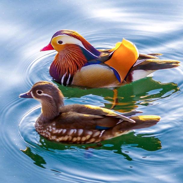 🌈🌈🌈漁乐人生🌈🌈🌈