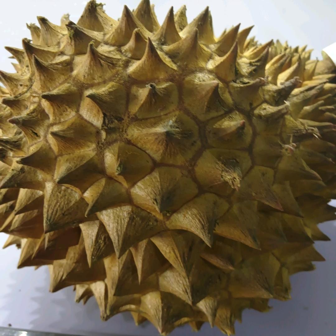 水果江湖（果业）