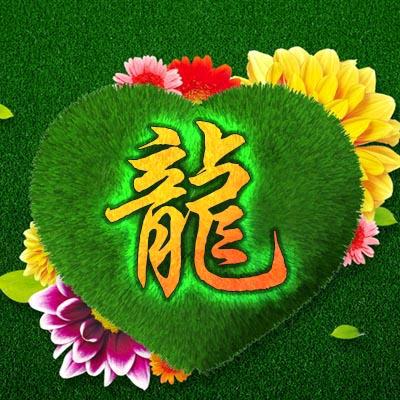龙腾虎跃