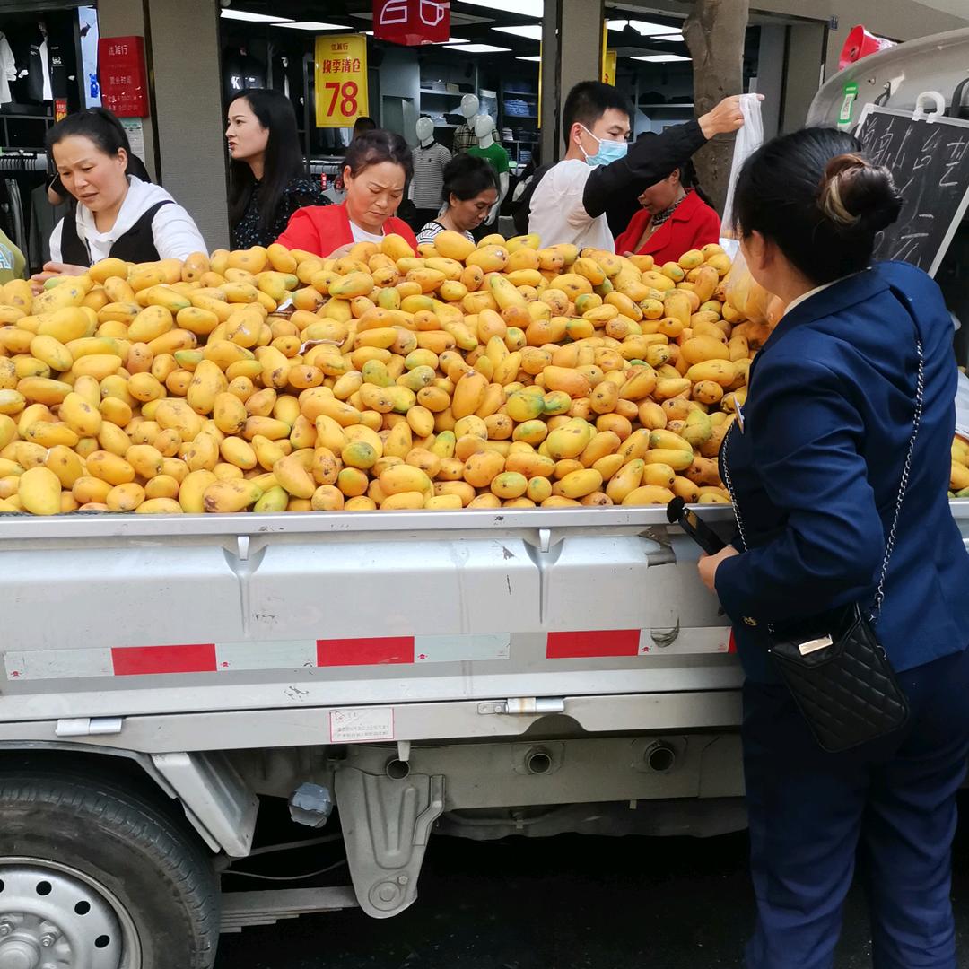 鲜诚农业，蕉心缘