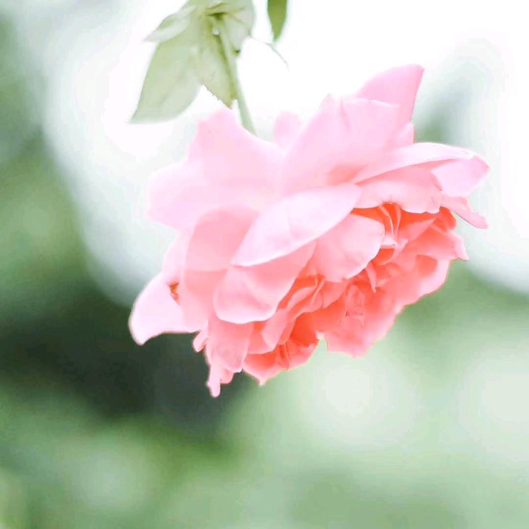 日月山川
