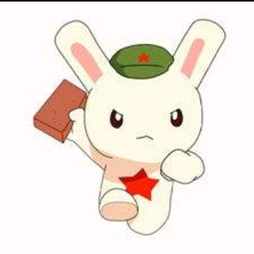 板砖