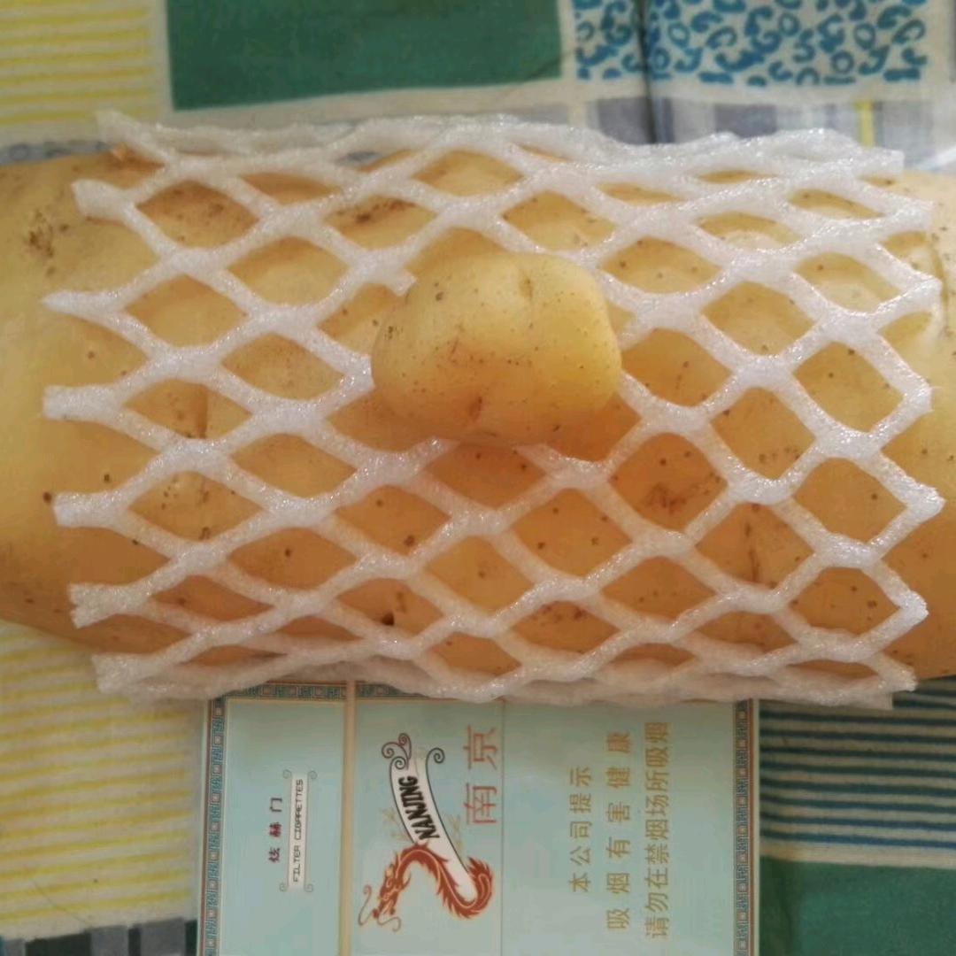 是  什么