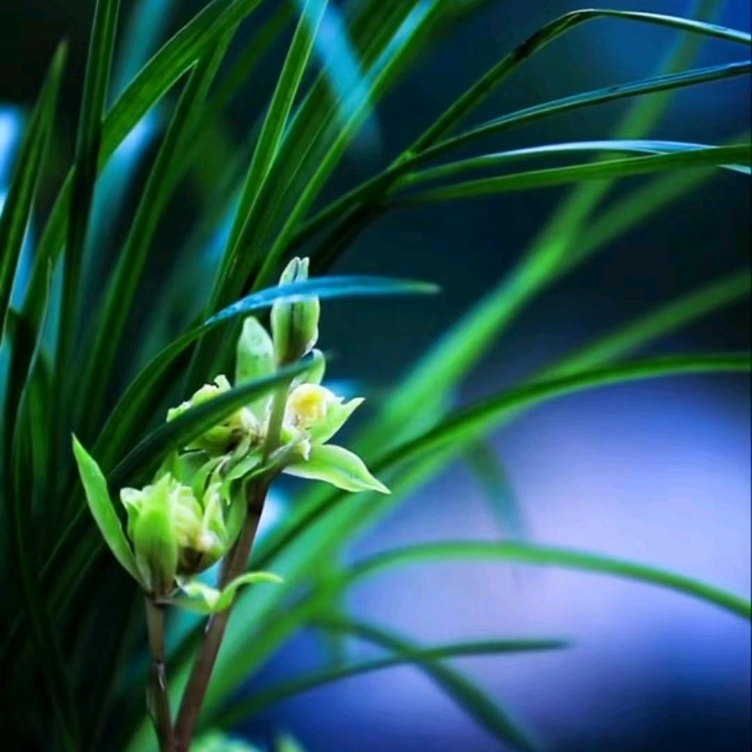 天津涵落教育科技