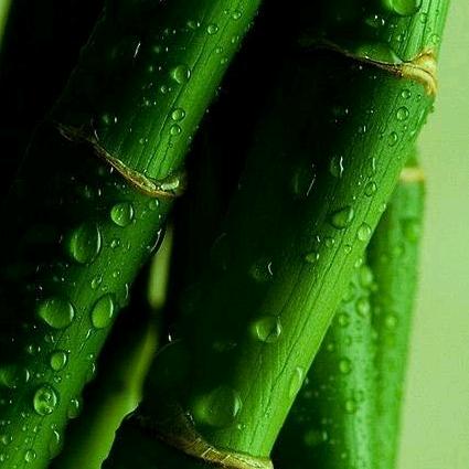 平淡无奇