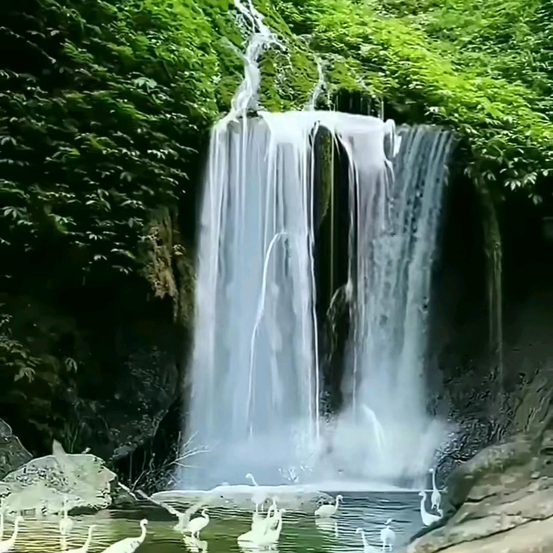 莒南大宋清障车