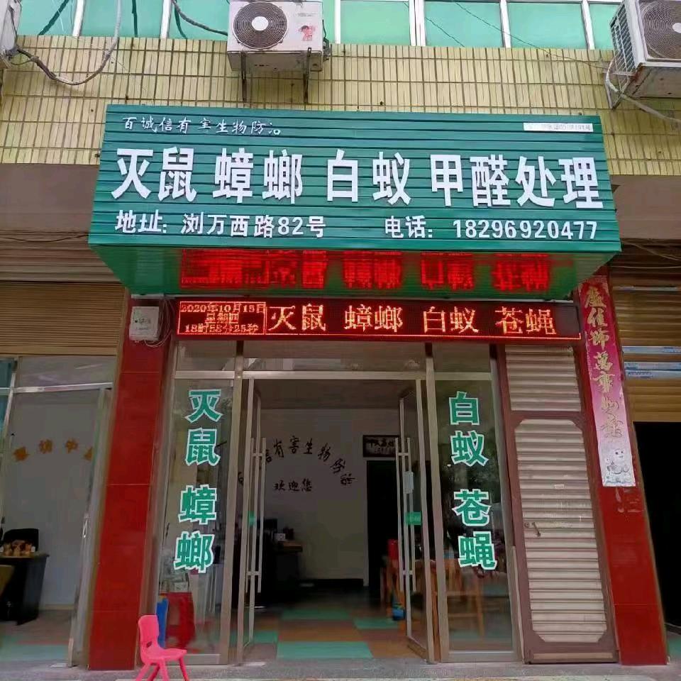 上栗专业抓老鼠梅子