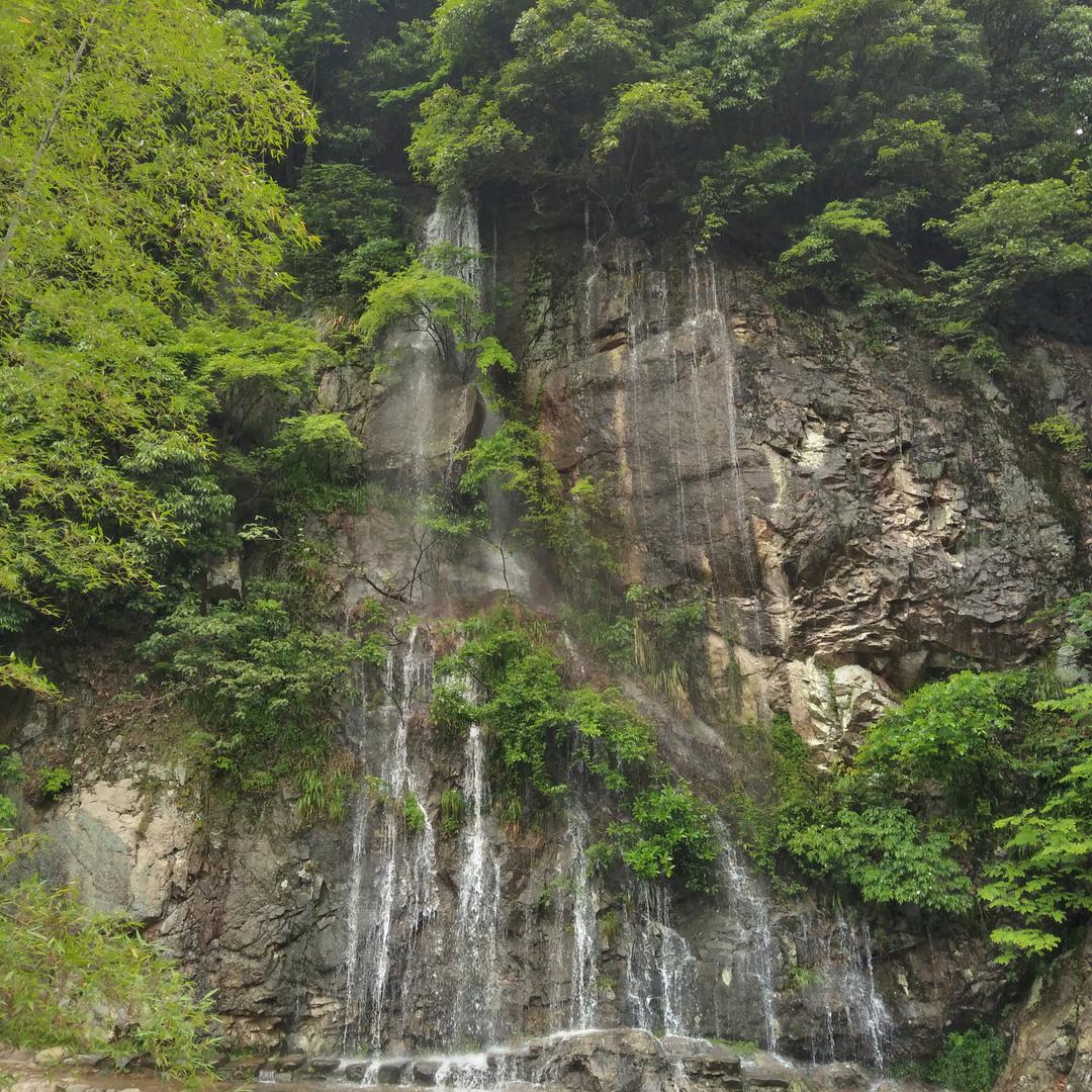 春的雨
