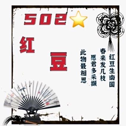 502⭐天龙