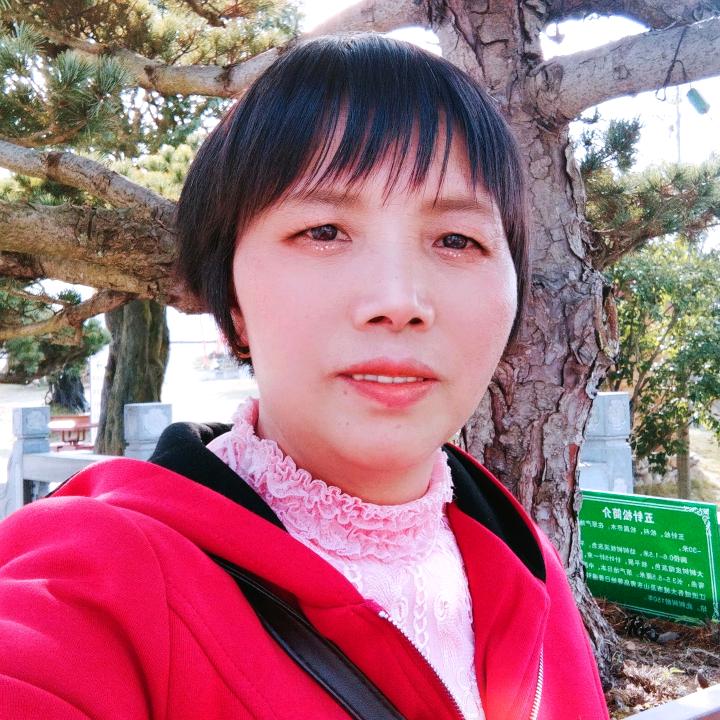 微风拂面