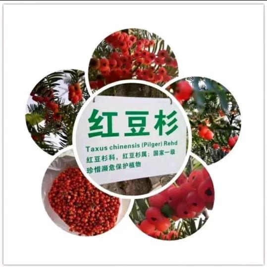 乐昌市金亮农业发展有限公司