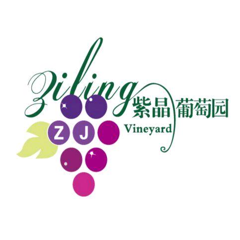紫晶葡萄园官方号
