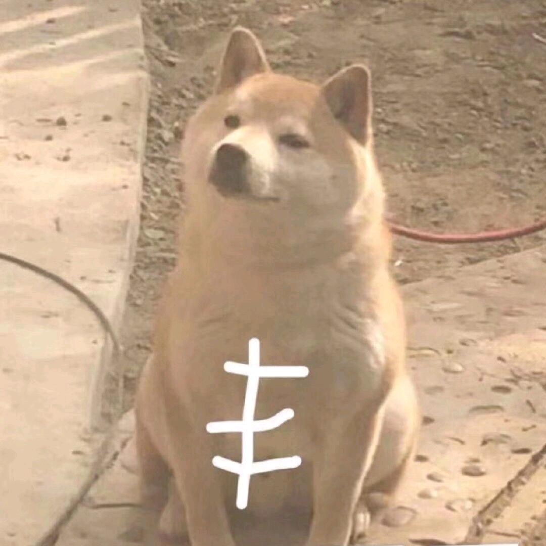 说不定明天就好了