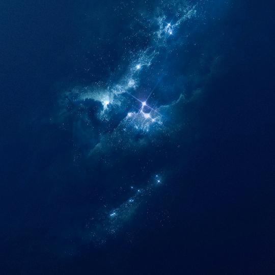 牛ra