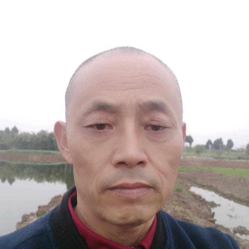 富贵平安，63年兔