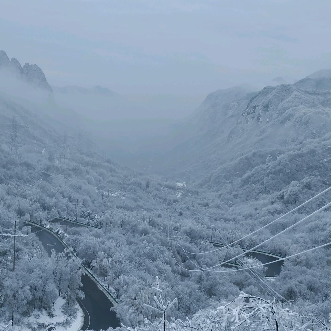 @捌零后
