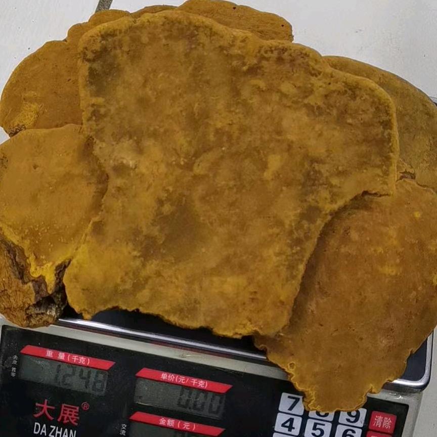 健仙（会不定时直播）