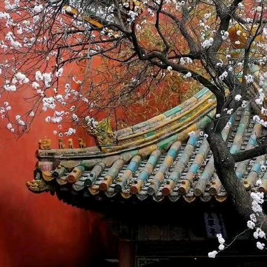 百源果蔬