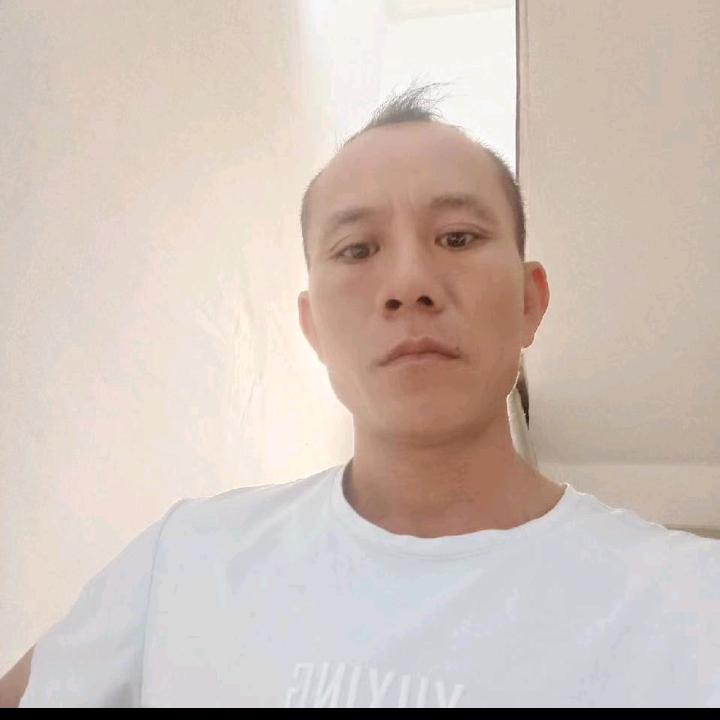 陈洪哥