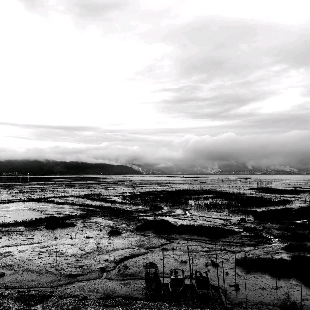 可爱的洪水猛兽