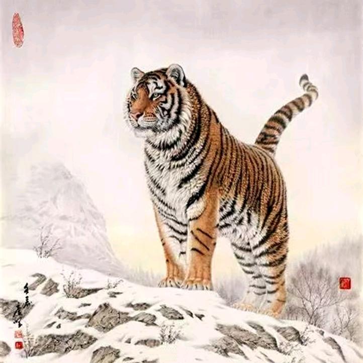 😂天道酬勤😂