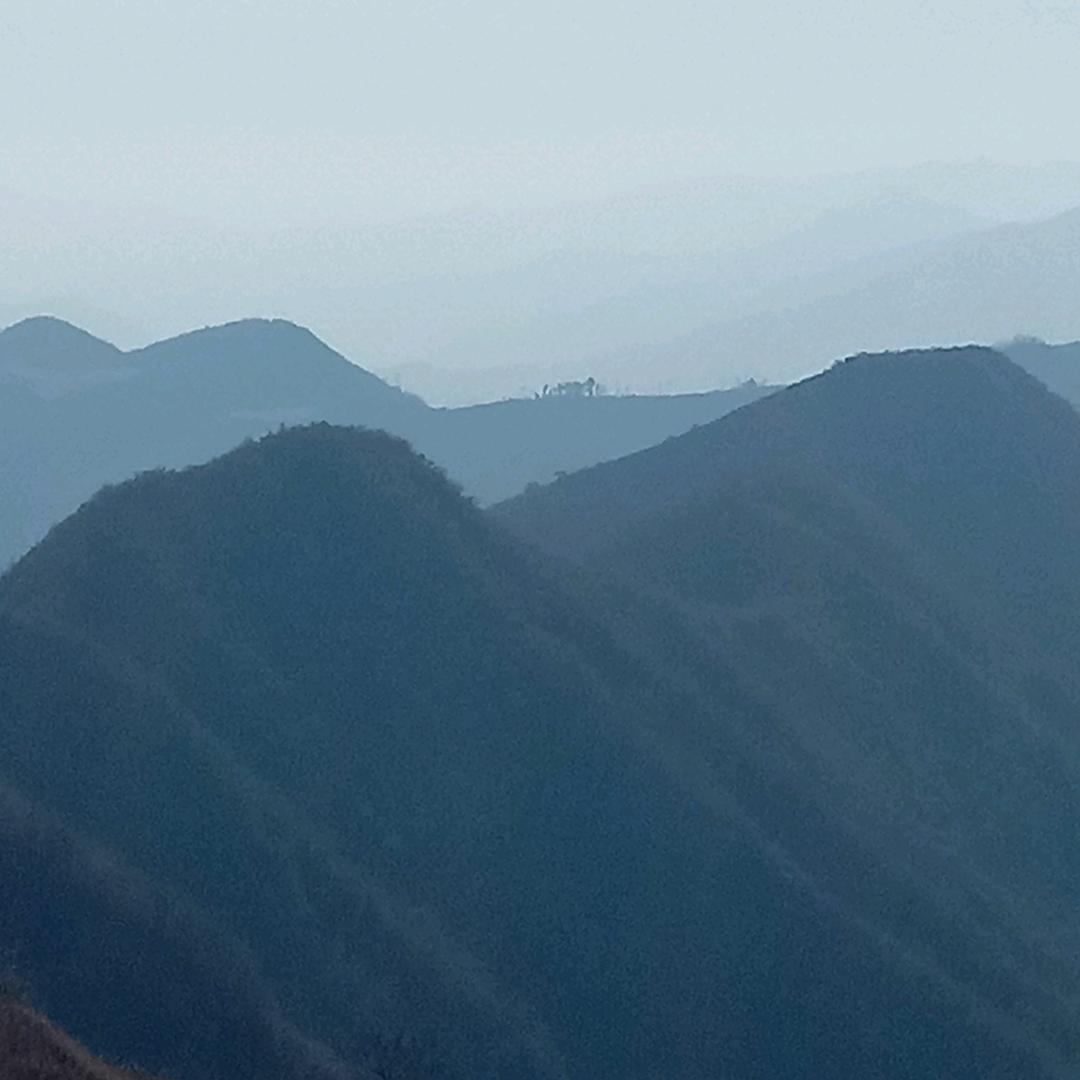 陕西的喜哥