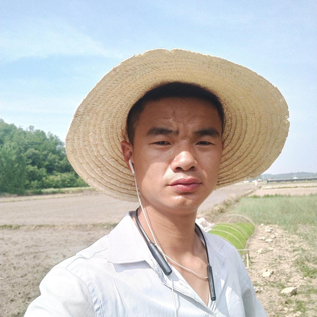 湖北谭种田