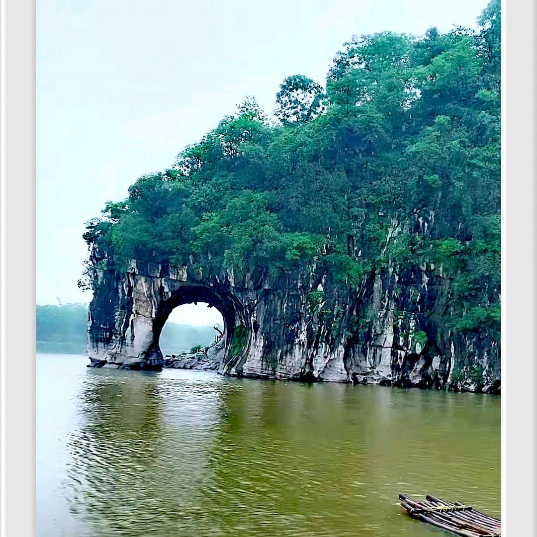 红杜鹃
