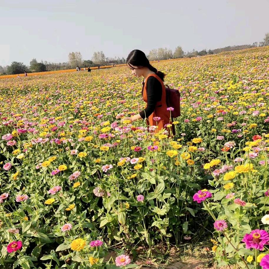 荆州区湘江五金机电经营部