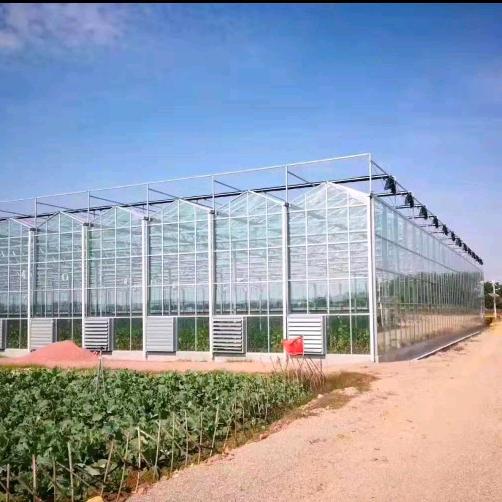江苏正大温室大棚