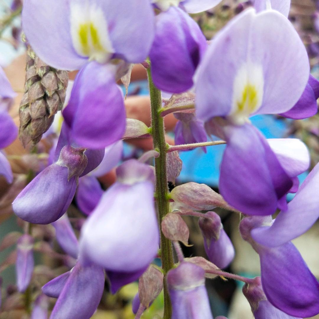 健康就是财富。诚信是金！