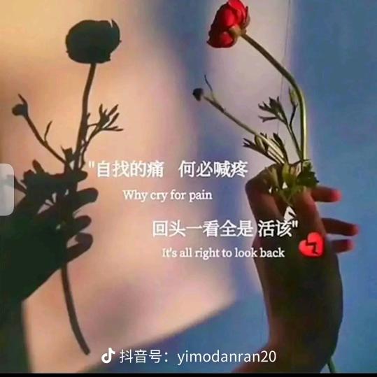 专业真石漆   腻子  彩钢