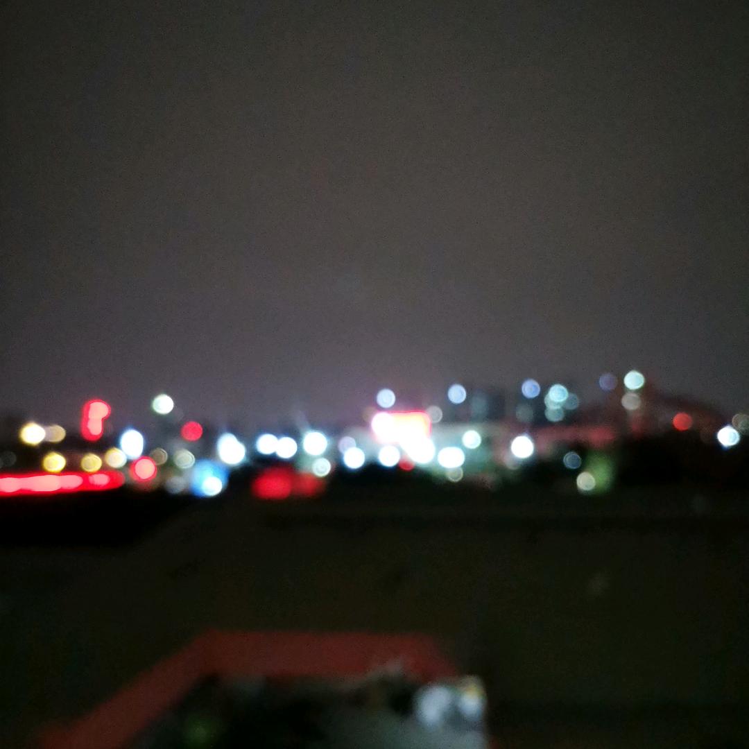 淑女