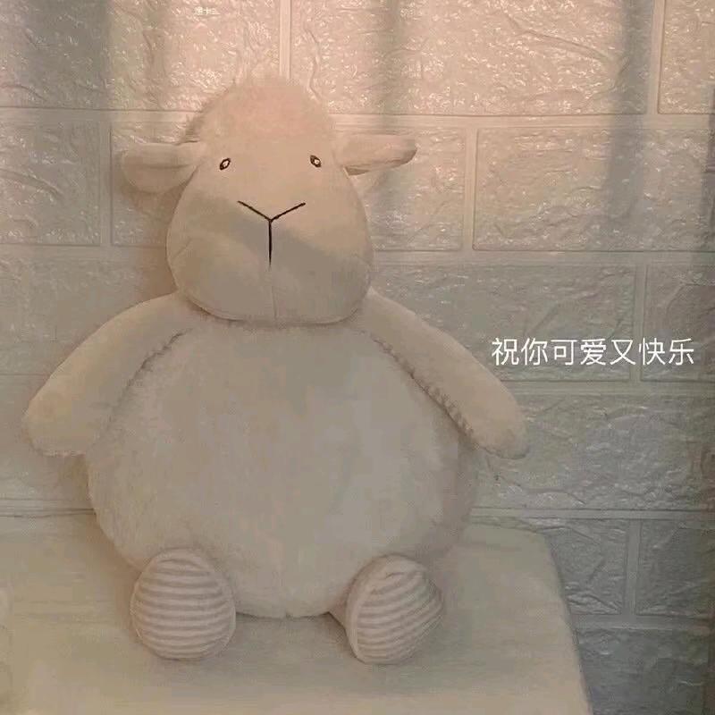 鲸🐳